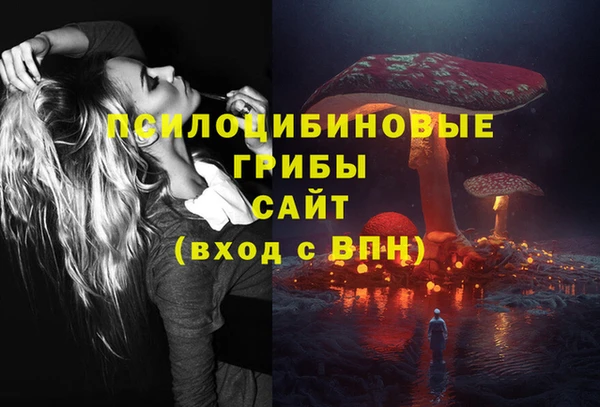 метадон Алексин