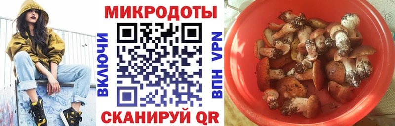 Галлюциногенные грибы прущие грибы  наркота  Жиздра 